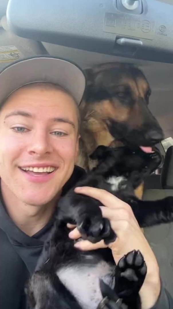 ⁣lovely dog