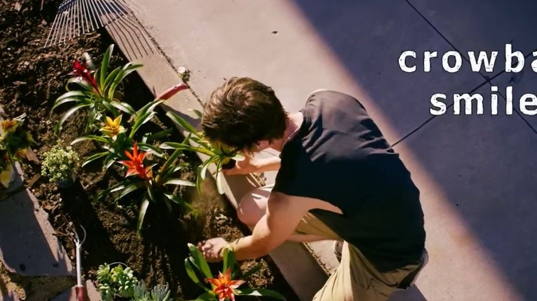Crowbar Smile _ Short Film _ The Big Script _ Iris